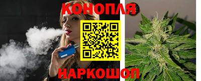 трава Сланцы